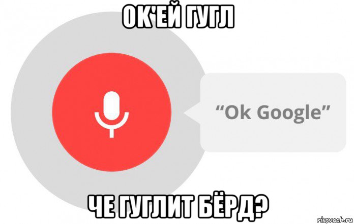 ok'ей гугл че гуглит бёрд?, Мем  Окей гугл