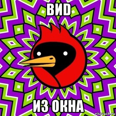 виd из окна, Мем Омская птица