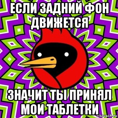 если задний фон движется значит ты принял мои таблетки, Мем Омская птица