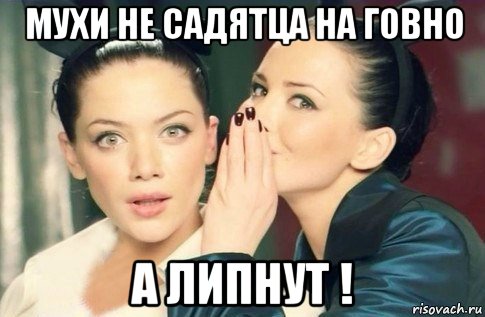 мухи не садятца на говно а липнут !, Мем  Он