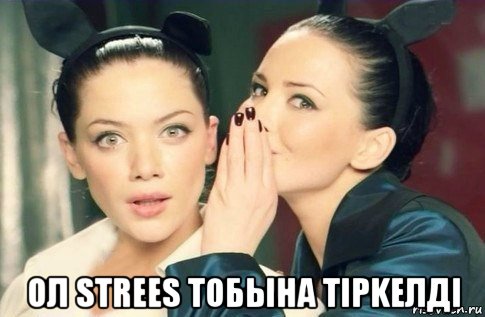  ол strees тобына тipkeлдi, Мем  Он