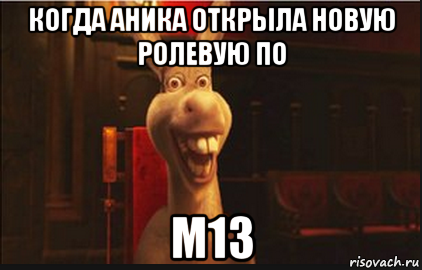 когда аника открыла новую ролевую по м13, Мем Осел из Шрека