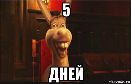 5 дней, Мем Осел из Шрека