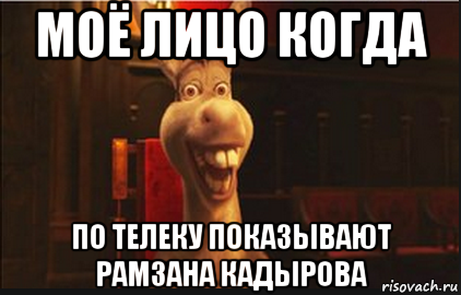 моё лицо когда по телеку показывают рамзана кадырова, Мем Осел из Шрека