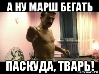 а ну марш бегать паскуда, тварь!, Мем Паскуда тварь