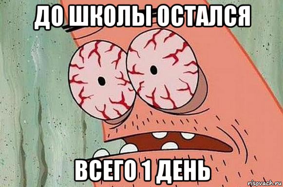 до школы остался всего 1 день, Мем  Патрик в ужасе