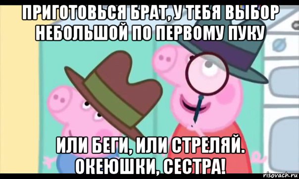 приготовься брат, у тебя выбор небольшой по первому пуку или беги, или стреляй. океюшки, сестра!, Мем  Пеппа холмс