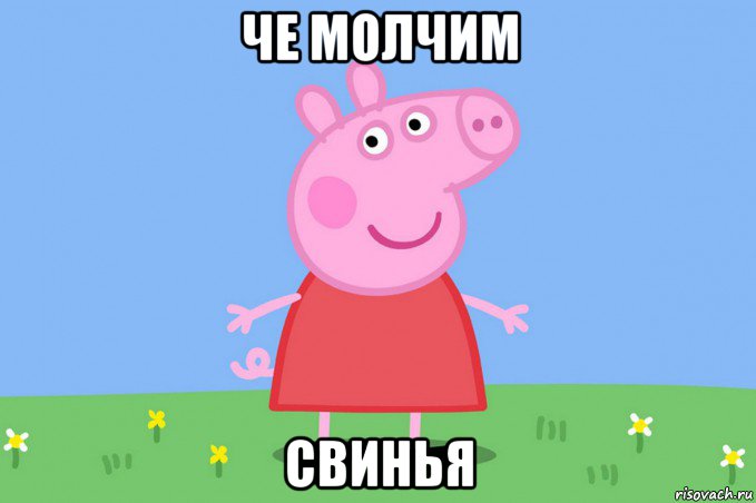 че молчим свинья