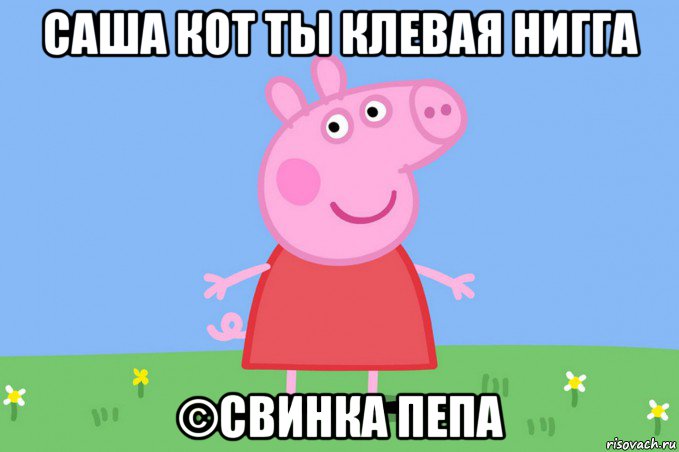 саша кот ты клевая нигга ©свинка пепа, Мем Пеппа