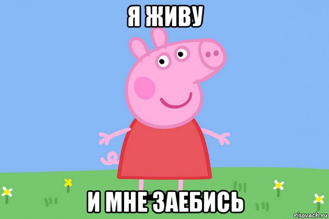 я живу и мне заебись, Мем Пеппа