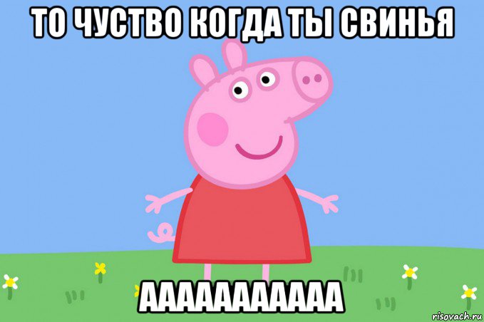 то чуство когда ты свинья ааааааааааа