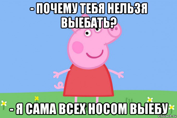 - почему тебя нельзя выебать? - я сама всех носом выебу, Мем Пеппа