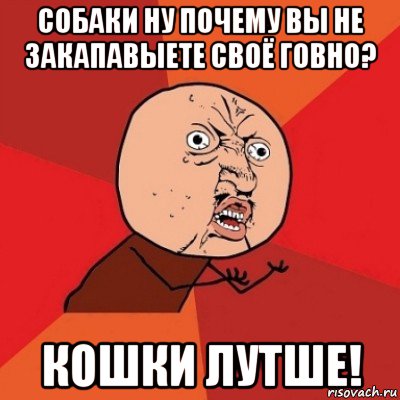 собаки ну почему вы не закапавыете своё говно? кошки лутше!, Мем Почему