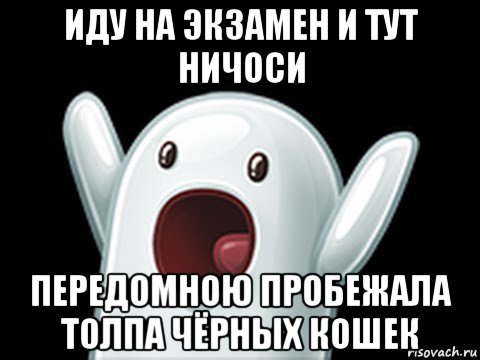 иду на экзамен и тут ничоси передомною пробежала толпа чёрных кошек, Мем  Придуси