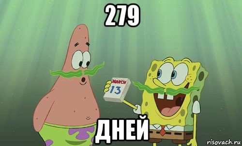 279 дней