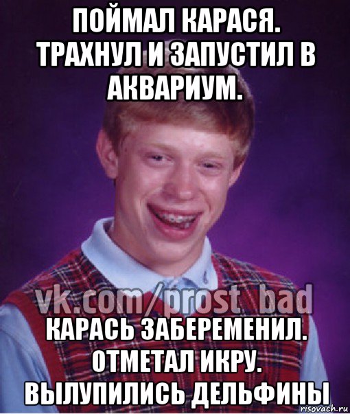 поймал карася. трахнул и запустил в аквариум. карась забеременил. отметал икру. вылупились дельфины, Мем Прост Неудачник