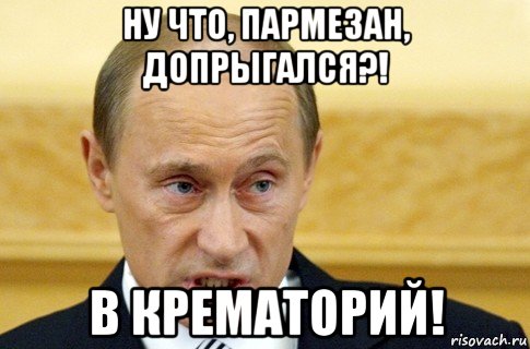 ну что, пармезан, допрыгался?! в крематорий!, Мем путин