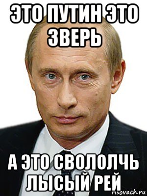 это путин это зверь а это свололчь лысый рей, Мем Путин