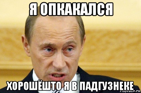 я опкакался хорошёшто я в падгузнеке, Мем путин