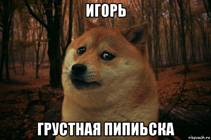 игорь грустная пипиьска, Мем SAD DOGE