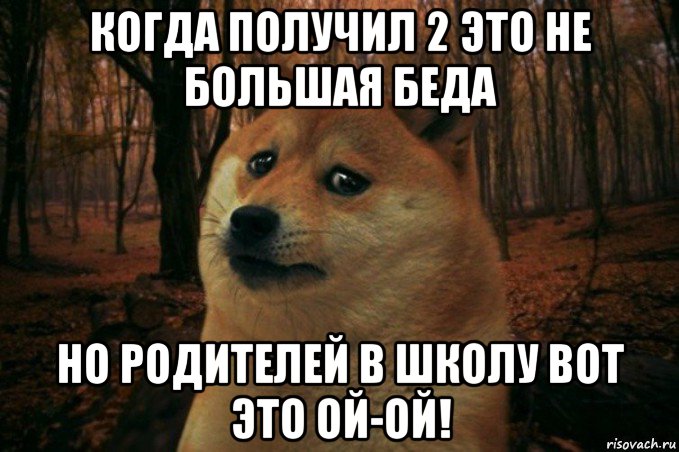 когда получил 2 это не большая беда но родителей в школу вот это ой-ой!, Мем SAD DOGE