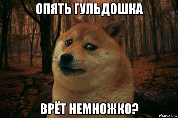 опять гульдошка врёт немножко?, Мем SAD DOGE