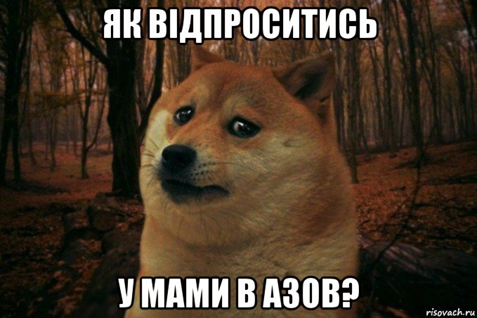 як відпроситись у мами в азов?, Мем SAD DOGE