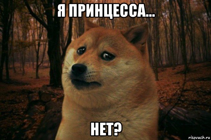 я принцесса... нет?, Мем SAD DOGE