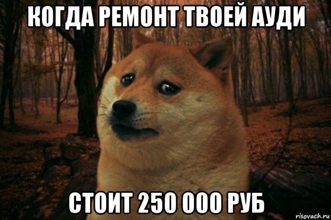 когда ремонт твоей ауди стоит 250 000 руб, Мем SAD DOGE