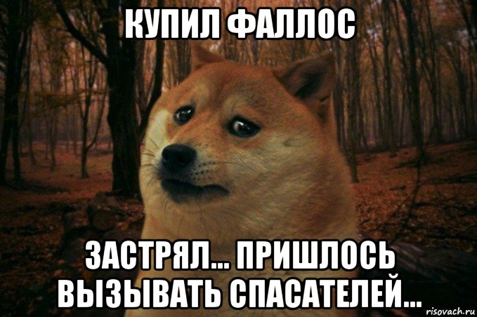 купил фаллос застрял... пришлось вызывать спасателей..., Мем SAD DOGE