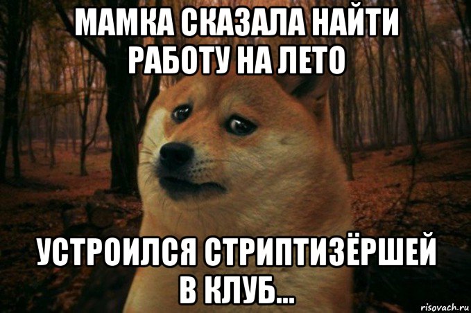 мамка сказала найти работу на лето устроился стриптизёршей в клуб..., Мем SAD DOGE