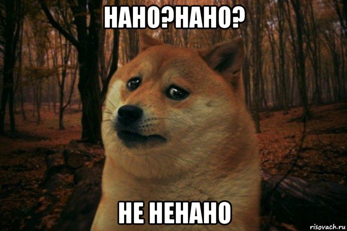 нано?нано? не ненано, Мем SAD DOGE