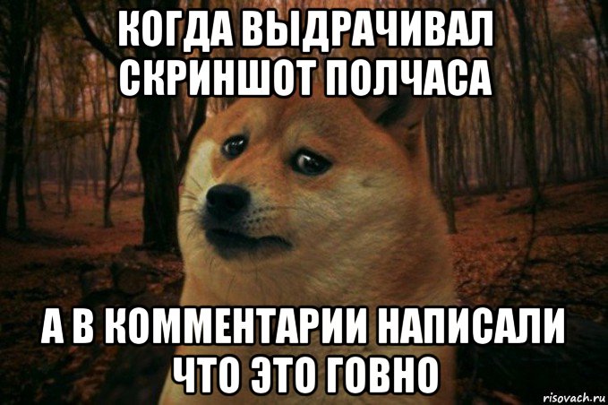 когда выдрачивал скриншот полчаса а в комментарии написали что это говно, Мем SAD DOGE