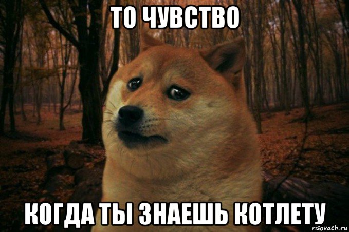 то чувство когда ты знаешь котлету, Мем SAD DOGE