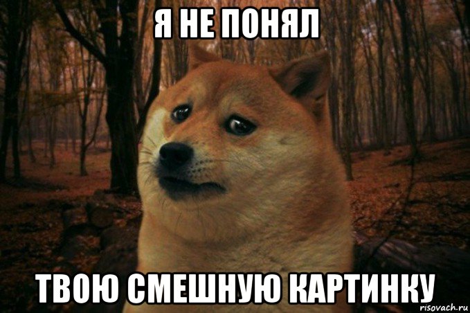 я не понял твою смешную картинку, Мем SAD DOGE