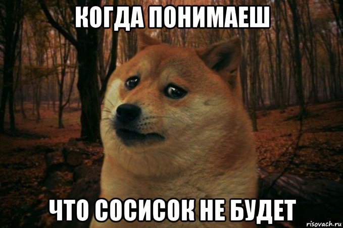 когда понимаеш что сосисок не будет, Мем SAD DOGE