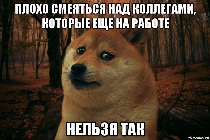 плохо смеяться над коллегами, которые еще на работе нельзя так, Мем SAD DOGE