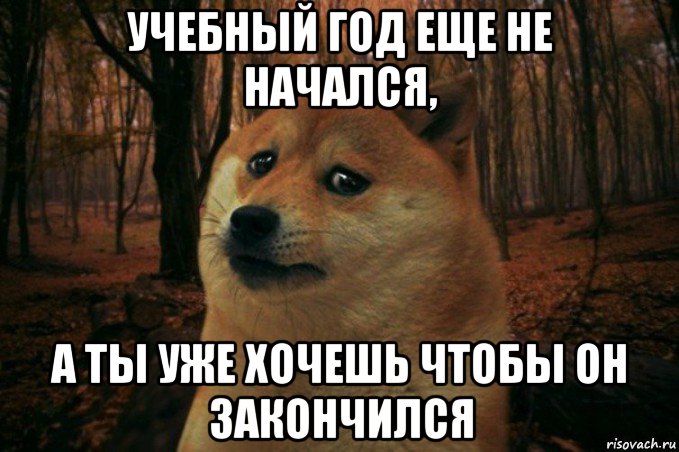 учебный год еще не начался, а ты уже хочешь чтобы он закончился, Мем SAD DOGE