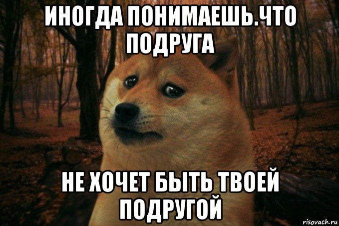 иногда понимаешь.что подруга не хочет быть твоей подругой, Мем SAD DOGE