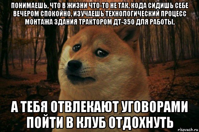 понимаешь, что в жизни что-то не так, кода сидишь себе вечером спокойно, изучаешь технологический процесс монтажа здания трактором дт-350 для работы, а тебя отвлекают уговорами пойти в клуб отдохнуть, Мем SAD DOGE