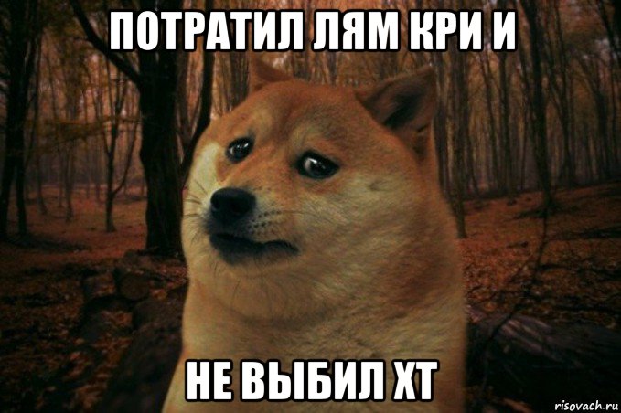 потратил лям кри и не выбил хт, Мем SAD DOGE