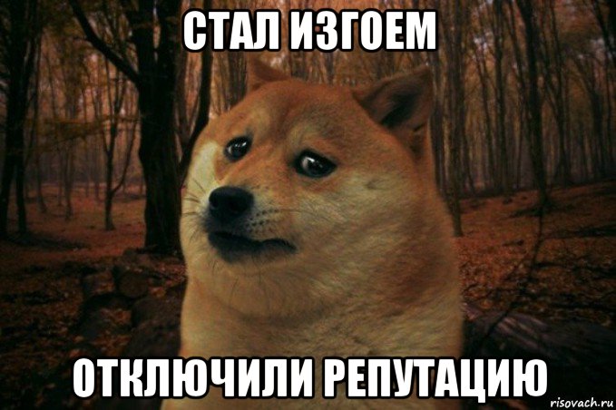 стал изгоем отключили репутацию, Мем SAD DOGE