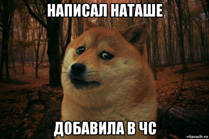 написал наташе добавила в чс, Мем SAD DOGE