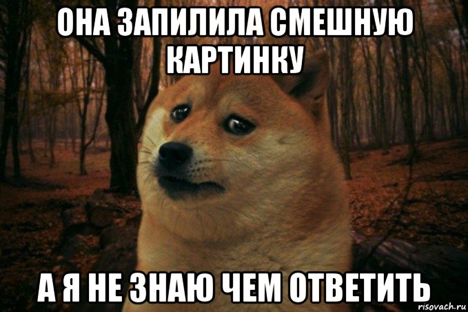 она запилила смешную картинку а я не знаю чем ответить, Мем SAD DOGE