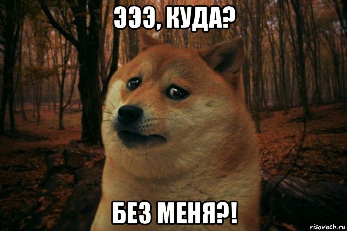 эээ, куда? без меня?!, Мем SAD DOGE