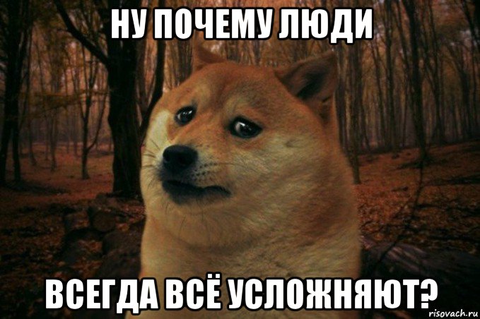 ну почему люди всегда всё усложняют?, Мем SAD DOGE