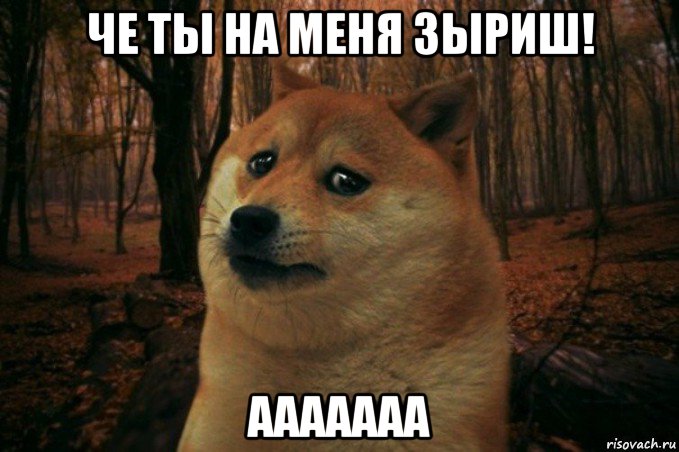 че ты на меня зыриш! ааааааа, Мем SAD DOGE