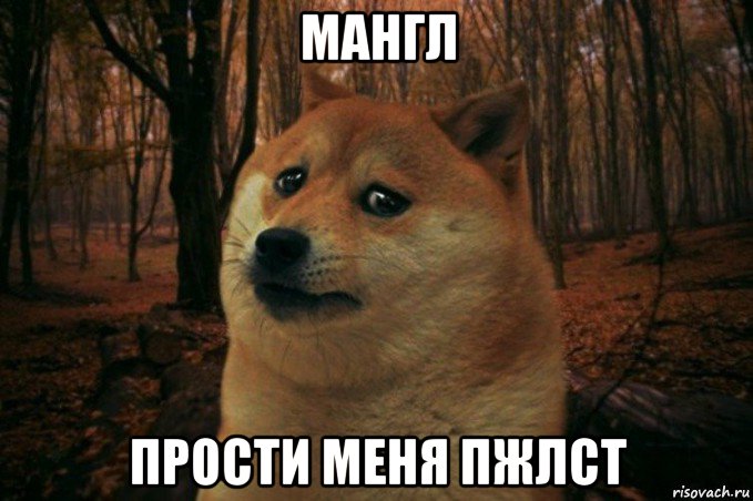 мангл прости меня пжлст, Мем SAD DOGE