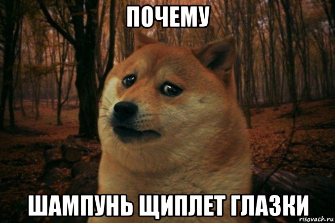 почему шампунь щиплет глазки, Мем SAD DOGE