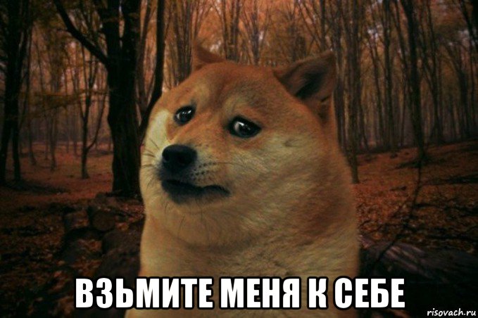  взьмите меня к себе, Мем SAD DOGE